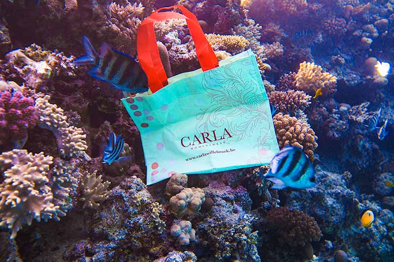 CARLA's shopping bag reist de wereld rond